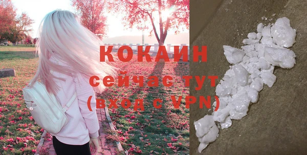 Альфа ПВП Снежногорск